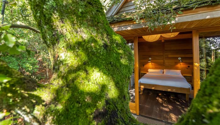 Gourmet Getaway in a Treehouse at A Pignata