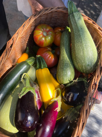 Panier du jardin