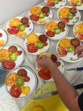 Salade tomate du jardin A pignata