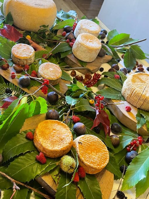 Plateau d efromages corse A Pignata