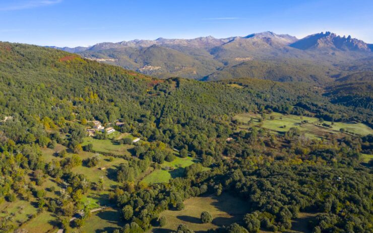 Réception A Pignata